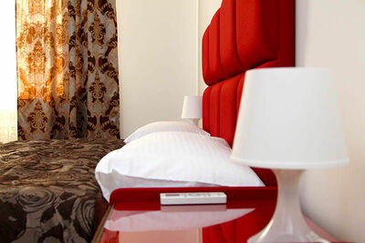 Фотография номера гостиницы Рица Парк