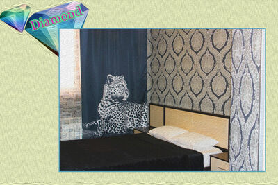 Фотография номера гостиницы Диамонд