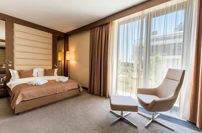 Фотография номера гостиницы Арфа Парк