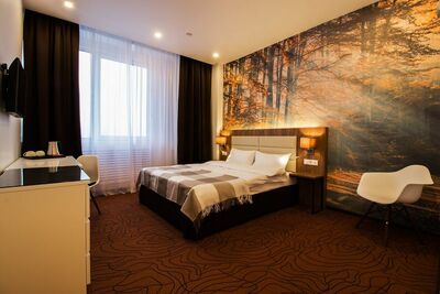 Фотография номера гостиницы Санфлауэр Отель Внуково