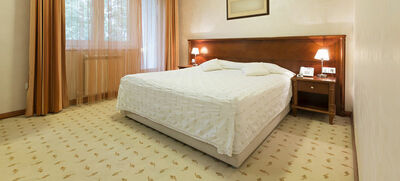 Фотография номера гостиницы Лира