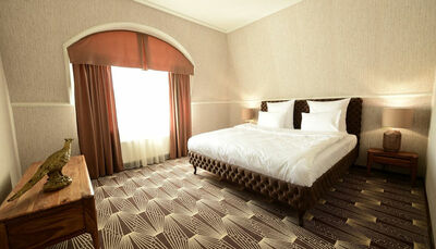 Фотография номера гостиницы Графский Парк