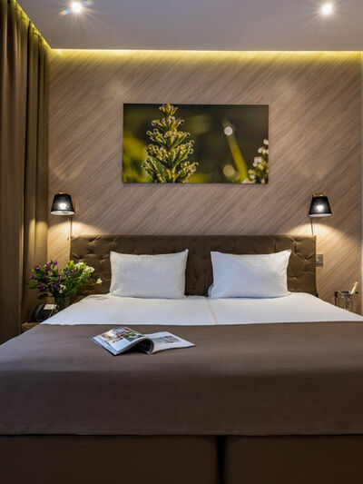 Фотография номера гостиницы Лесной Кантри Хаус