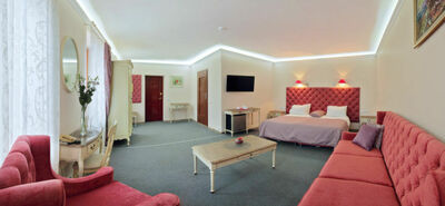 Фотография номера мини отеля Серый Гусь