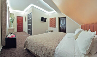 Фотография номера мини отеля Серый Гусь