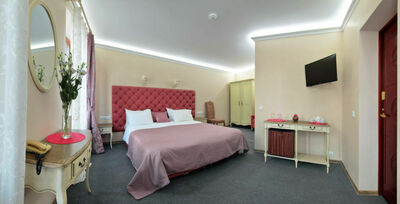 Фотография номера мини отеля Серый Гусь