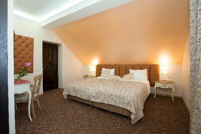 Фотография номера мини отеля Серый Гусь