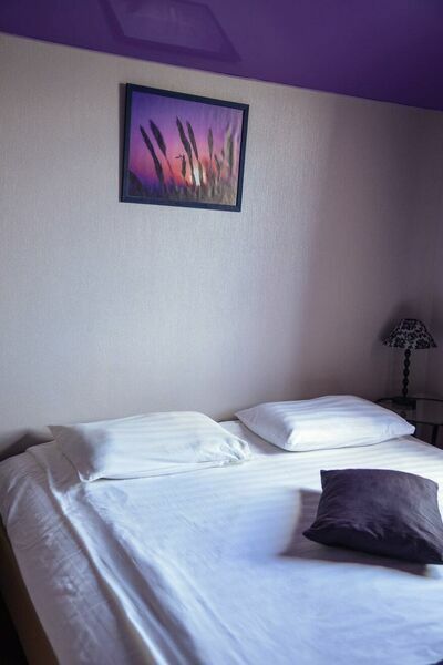 Фотография номера гостиницы LogHouse