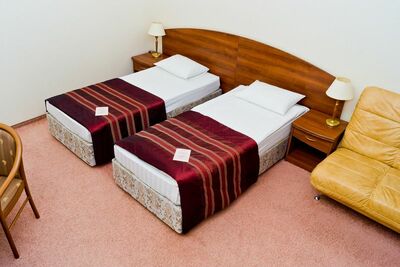 Фотография номера гостиницы Богемия