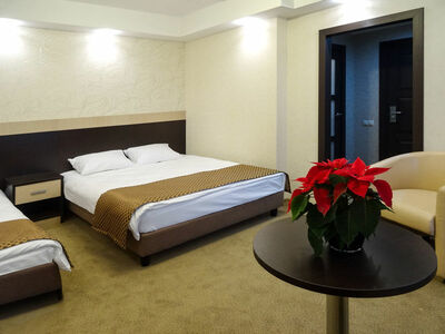 Фотография номера гостиницы Экипаж