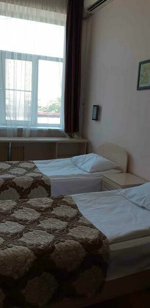 Фотография номера гостиницы Камелия-В