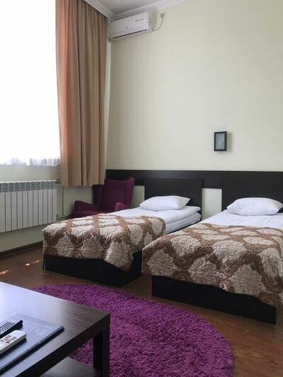 Фотография номера гостиницы Камелия-В