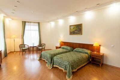 Фотография номера гостиницы Палас