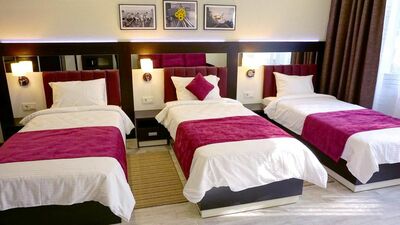 Фотография номера гостевого дома Усадьба Приморский Парк