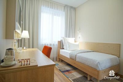 Фотография номера мини отеля Скандинавия