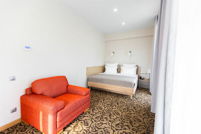 Фотография номера мини отеля Скандинавия