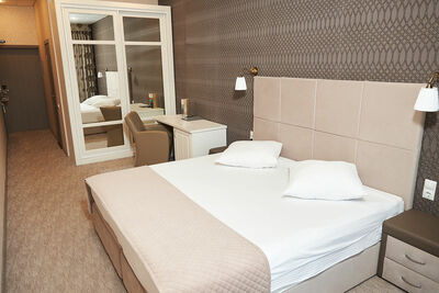 Фотография номера гостиницы Гулливер