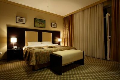 Фотография номера гостиницы Сенатор