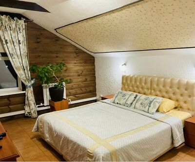 Фотография номера гостиницы Александровский причал