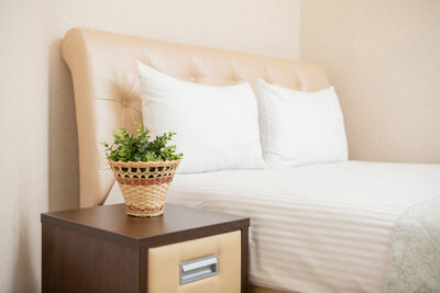 Фотография номера мини отеля Вельвет