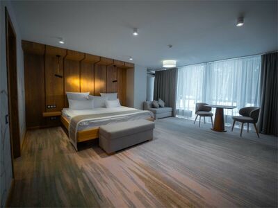 Фотография номера гостиницы Goritsy Hotel & Resort