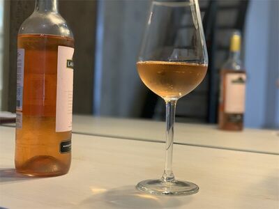 Фотография номера гостиницы Авиатор