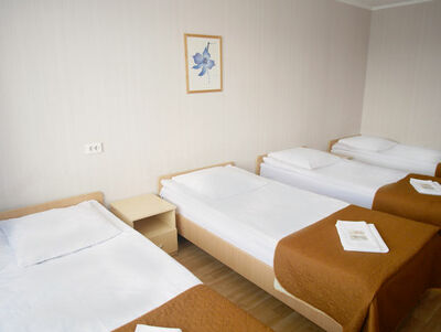 Фотография номера гостиницы Спорт