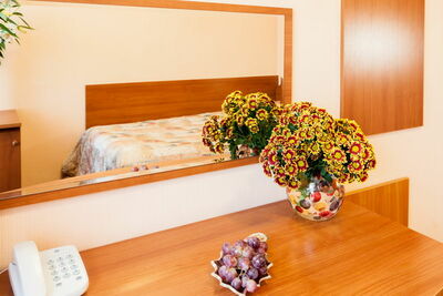 Фотография номера гостиницы Электрон