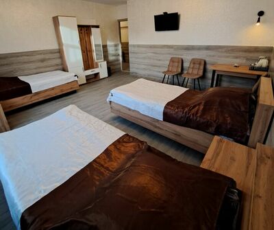 Фотография номера гостиницы Каменка