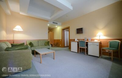 Фотография номера гостиницы Домодедово Аэроотель