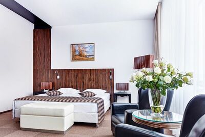 Фотография номера гостиницы Виктория Олимп