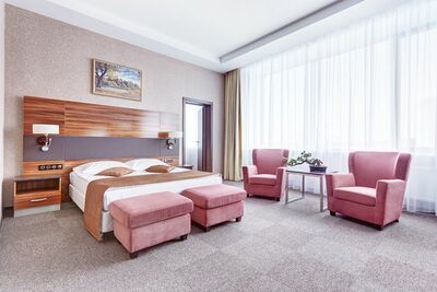 Фотография номера гостиницы Виктория Олимп