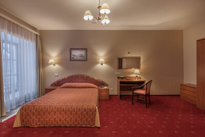 Фотография номера гостиницы Самсон