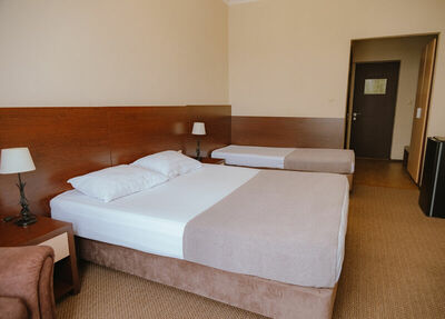 Фотография номера гостиницы Илиада