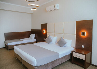 Фотография номера гостиницы Илиада