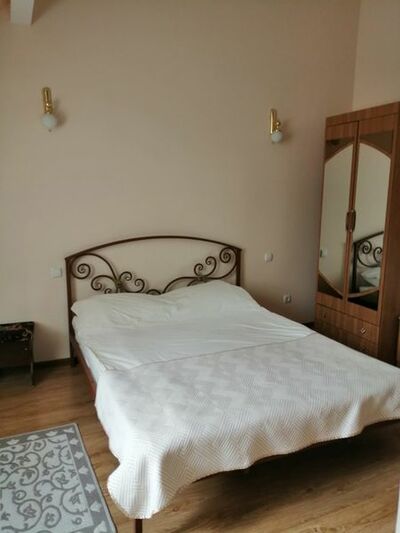 Фотография номера гостиницы Оптимист