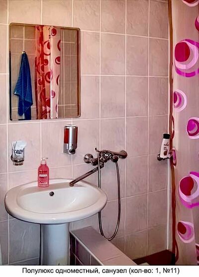 Фотография номера гостиницы Гвоздика