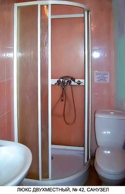 Фотография номера гостиницы Гвоздика