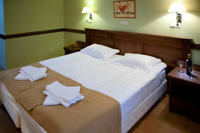 Фотография номера гостиницы Русская деревня