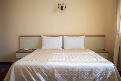 Фотография номера гостиницы Карпинский отель