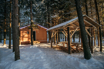 Фотография номера базы отдыха Пикник