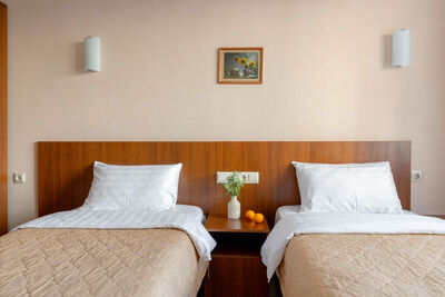 Фотография номера гостиницы Арена