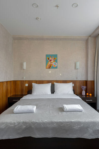 Фотография номера гостиницы Арена