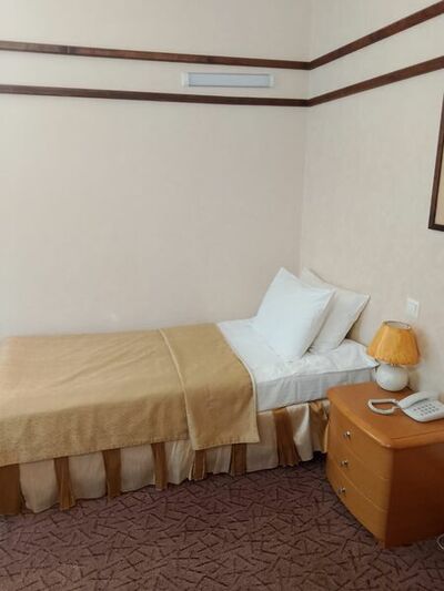 Фотография номера гостиницы Мечта