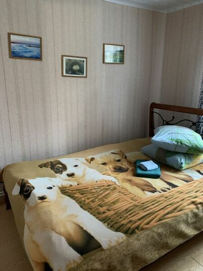 Фотография номера мини отеля Алёнушка