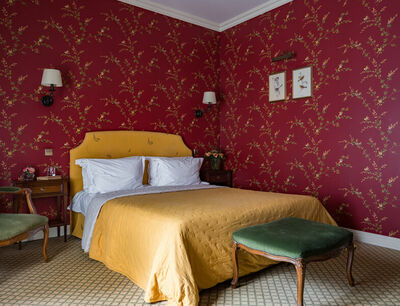 Фотография номера гостиницы Кронон Парк Отель