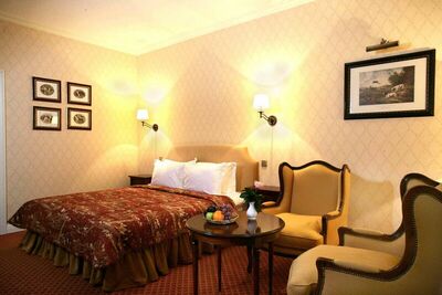 Фотография номера гостиницы Кронон Парк Отель