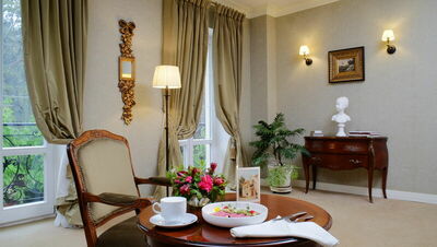 Фотография номера гостиницы Кронон Парк Отель