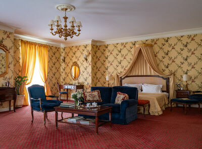 Фотография номера гостиницы Кронон Парк Отель