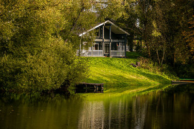 Фотография номера базы отдыха Эко-клуб Голицыно